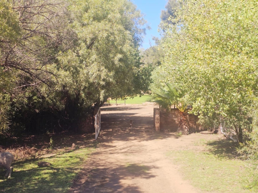 4 Bedroom Property for Sale in Dewetsdorp Free State